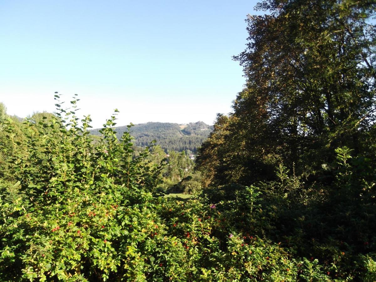 Fewo 4 Am Rechensoldenweg 29 Lägenhet Bodenmais Exteriör bild